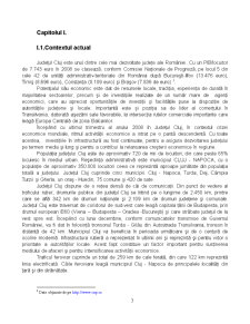 Transparență în procesul decizional. Studiu de caz - Județul Cluj - Pagina 3