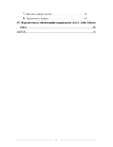 Reproiectarea Sistemului de Management la SC Lido Girbea SRL - Pagina 3