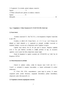 Fundamentarea și Realizarea Veniturilor Bugetare la SC Star Tek SRL Botoșani - Pagina 3