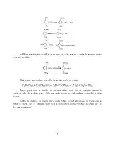 Fabricarea acidului tereftalic - Pagina 4