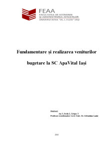 Fundamentare și Realizarea Veniturilor Bugetare la SC Apavital Iași - Pagina 1