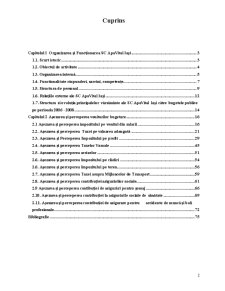 Fundamentare și Realizarea Veniturilor Bugetare la SC Apavital Iași - Pagina 2