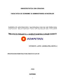 Analiza fundamentală a societății Rompetrol Rafinare Constanța - Pagina 1