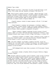 Analiza fundamentală a societății Rompetrol Rafinare Constanța - Pagina 5