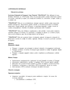 Analiza fundamentală a societății Transgaz Mediaș - Pagina 3