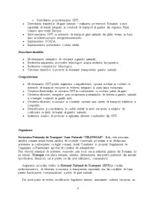 Analiza fundamentală a societății Transgaz Mediaș - Pagina 4
