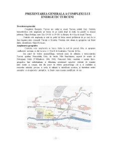 Poluarea cauzată de Termocentrala Turceni - Pagina 5