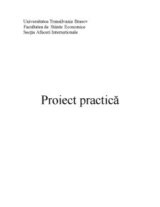 Proiect practică la Ploucquet Textil - Pagina 1