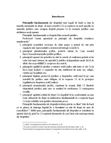 Principii Fundamentale ale Dreptului - Pagina 3