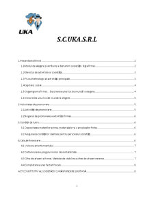Economia întreprinderii - SC Uka SRL - Pagina 1