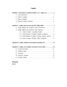 Analiza financiară SC Calypso SA Oradea - Pagina 1