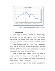 Analiza financiară SC Calypso SA Oradea - Pagina 3