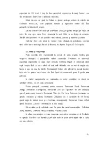 Analiza financiară SC Calypso SA Oradea - Pagina 4