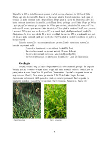 Rezervația Mestecănișul de la Reci și Bălțile de la Ozun-Sântionlunca - Pagina 4