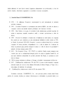 Implementarea contabilității manageriale la SC Rompetrol SA - Pagina 2