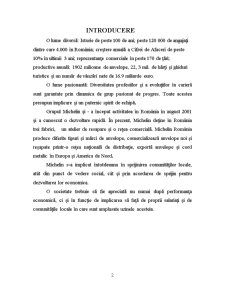 Managementul Aprovizionării la Michelin România Punct de Lucru Florești - Pagina 2