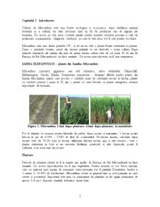 Determinarea experimentală și analiza conținutului de umiditate a plantei myscantus - Pagina 3
