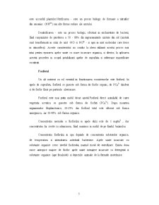 Eutrofizarea Apelor - Pagina 5