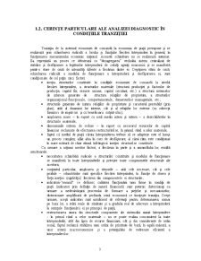 Analiza diagnostic a activității comerciale la SC PECO Caraș-Severin SA - Pagina 3