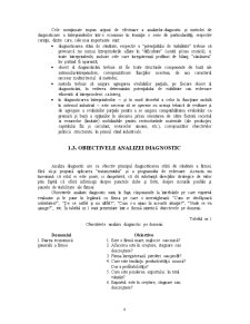 Analiza diagnostic a activității comerciale la SC PECO Caraș-Severin SA - Pagina 4