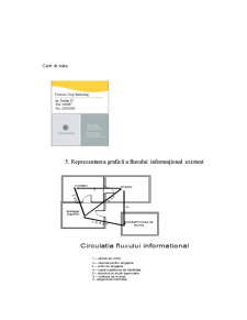 Proiectarea unui Sistem Informatic - Pagina 5