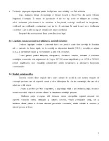 Înființarea firmei - SC Butangas România SA - Pagina 5