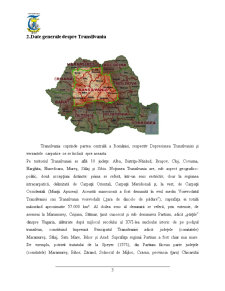 Turism Balnear în Transilvania - Pagina 3