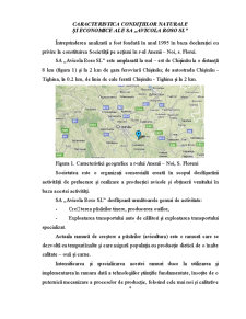 Caracteristica Condițiilor Naturale și Economice ale SA Avicola Roso SL - Pagina 2