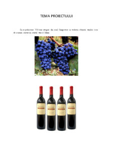 Vinul Sangiovese - Pagina 2