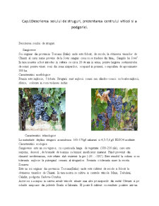 Vinul Sangiovese - Pagina 4