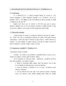 Monografie la un agent economic - SC Dumbrava SA - Pagina 2