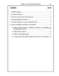 Analiza economico-financiară a SC Antibiotice SA Iași - Pagina 2