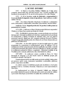 Analiza economico-financiară a SC Antibiotice SA Iași - Pagina 4