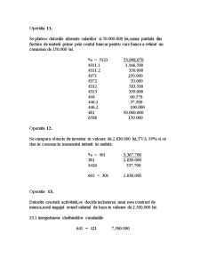 Monografie Contabila - Pagina 5