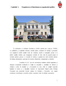 Organizarea și funcționarea DLEP Iași - Pagina 2