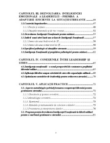 Leadership-ul - Pagina 2