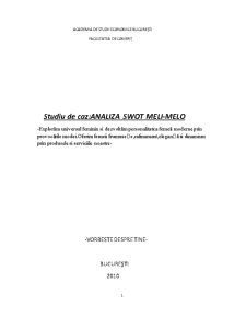 Analiza Swot Meli Melo - Pagina 1