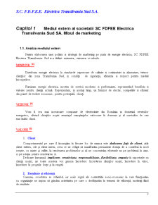 Atitudini, opinii și comportamente ale clienților SC FDFEE Electrica Transilvania Sud SA - Pagina 3