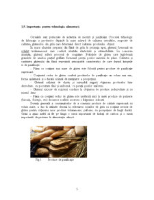 Regimul Alimentar al unei Persoane cu Intoleranță la Gluten - Pagina 5