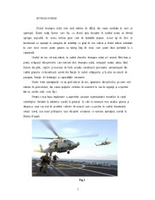 Studiu de Caz privind Stabilirea Genezei și Dinamicii Producerii unui Caz Real de Accident Colectiv datorat Prăbușirii unui Elicopter Ucrainean în Marea Neagră - Pagina 2