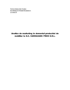 Analiza de marketing în domeniul producției de mobilier la SC Cariquans Prod SRL - Pagina 1