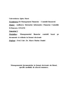 Managementul documentelor în format electronic ale firmei, specific mediului de afaceri românesc - Pagina 1