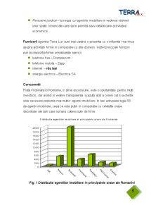 Analiza de marketing - studiu de caz firma Terra Lux - Pagina 5