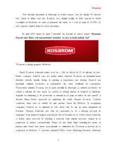 Comportamentul consumatorului - Kosarom - Pagina 2