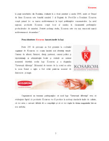 Comportamentul consumatorului - Kosarom - Pagina 3