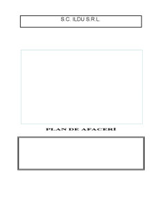 Plan de Afaceri SC Ildu SRL - Pagina 1