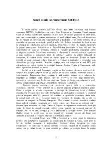 Analiza evoluției concernului METRO - Pagina 2
