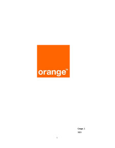 Management Strategic Orange - Pagina 1