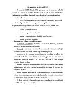 Infrastructura Informațională a Companiei Moldauditing - Pagina 4