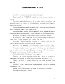Agroecosistemul Fasolei - Pagina 4